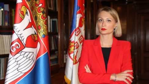 OVO SE VIŠE NE SME TOLERISATI Pantić Pilja: Nadležni organi da što pre omoguće rad novosadskih sudova