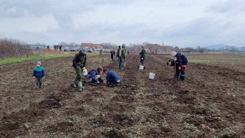TRAŽE NOVI RASADNIK: Pokret gorana Vršca obnovio rad i planira pošumljavanje čitavog atara sopstvenim sadnicama (FOTO) TRAŽE NOVI RASADNIK: Pokret gorana Vršca obnovio rad i planira pošumljavanje čitavog atara sopstvenim sadnicama (FOTO)