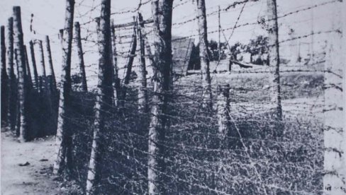 GOLORUKI NAPALI MUČITELJE U JURIŠU KA SLOBODI: Pre 80 godina počeo očajnički proboj jasenovačkih logoraša iz fabrike smrti Stara Gradiška GOLORUKI NAPALI MUČITELJE U JURIŠU KA SLOBODI: Pre 80 godina počeo očajnički proboj jasenovačkih logoraša iz fabrike smrti Stara Gradiška