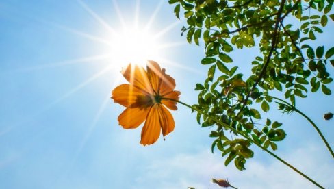 СТИЖЕ НАМ ПРОЛЕЋНО ВРЕМЕ: Ево када можемо очекивати 20 степени