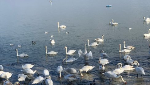 STIŽE KIŠA U SRBIJU: Vremenska prognoza za 2. decembar