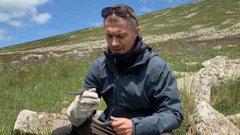 UGROŽENA VRŠAČKA ŠARKA: Već dve godine nisu viđeni mladunci jedine otrovne zmije na tlu Vojvodine UGROŽENA VRŠAČKA ŠARKA: Već dve godine nisu viđeni mladunci jedine otrovne zmije na tlu Vojvodine