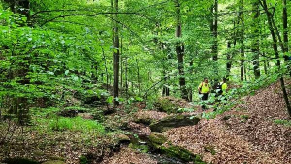 УЗБУДЉИВ ВИКЕНД ПАРАЋИНСКИХ ПЛАНИНАРА: Поход на Жежељ, Бешњају и Проклетије (ФОТО) УЗБУДЉИВ ВИКЕНД ПАРАЋИНСКИХ ПЛАНИНАРА: Поход на Жежељ, Бешњају и Проклетије (ФОТО)