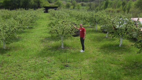 РАКИЈА ОД РУКОМ БРАНИХ ДУЊА: Милан Милорадовић из Витанца нада се добром роду, јер је дуњар преживео мраз, домаће пиће пече за своју душу РАКИЈА ОД РУКОМ БРАНИХ ДУЊА: Милан Милорадовић из Витанца нада се добром роду, јер је дуњар преживео мраз, домаће пиће пече за своју душу