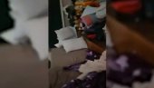 SVINJAC: Ovako izgleda Medicinski fakultet u Kragujevcu (VIDEO)
