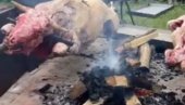 OVAKO BLOKADERI FOTELJAŠI ŽALE ŽRTVE: Dok Vučić brani interese Srbije u Moskvi, oni okreću vola u Loznici (VIDEO) OVAKO BLOKADERI FOTELJAŠI ŽALE ŽRTVE: Dok Vučić brani interese Srbije u Moskvi, oni okreću vola u Loznici (VIDEO)