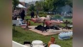 STRAŠNO: U Loznici više pečenih volova nego blokadera, ceo dan maltretiraju građane! (VIDEO) STRAŠNO: U Loznici više pečenih volova nego blokadera, ceo dan maltretiraju građane! (VIDEO)