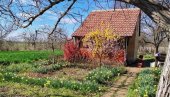 ВИКЕНДИЦЕ ТРАЖЕНЕ, АЛИ МАЊЕ НЕГО У ПАНДЕМИЈИ: Цене у Кикинди 15.000, а у Сремској Каменици 300.000 евра