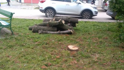 UREĐENJE ZELENILA: U centru grada kosi se trava i orezuje drveće UREĐENJE ZELENILA: U centru grada kosi se trava i orezuje drveće