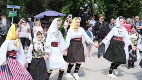 ТАМИШ ЈЕ ЈАШОМ КОЛО ВИО ТАМИШ ЈЕ ЈАШОМ КОЛО ВИО