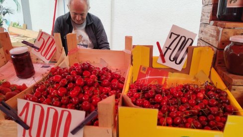 ТРЕШЊЕ КУПУЈУ НА КОМАД: После пролећних мразева први мајски црвени плодови достигли 1.500 динара за килограм