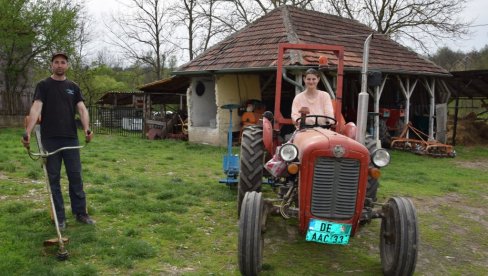 ЗИБЕН СЕ НА ТРАКТОРУ ОДМАРА: За домаћина из Деспотовца, Дарка Миладиновића, сезона траје 365 дана у години ЗИБЕН СЕ НА ТРАКТОРУ ОДМАРА: За домаћина из Деспотовца, Дарка Миладиновића, сезона траје 365 дана у години