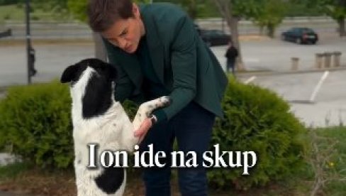DANAS JE DAN ZAJEDNIŠTVA Brnabić: Pozivamo vas da svi dođete da nam se pridružite u prelepom našem Nišu (VIDEO)