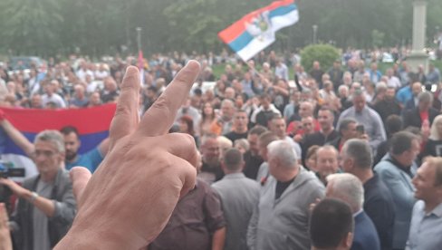 СТРАНЦИ НА ОЧЕВИНИ? Студија о двојном држављанству пред Мандићем и Спајићем