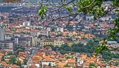 ЗЛОСТАВЉАО И УБИЈАНО ЖИВОТИЊЕ: Полиција у Прокупљу ухапсила човека из околине Житорађе