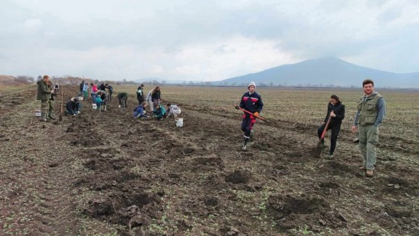 ПОСАДИЛИ ПРЕКО 23.000 САДНИЦА: Успешно пошумљавање низијског дела Вршачких планина ПОСАДИЛИ ПРЕКО 23.000 САДНИЦА: Успешно пошумљавање низијског дела Вршачких планина