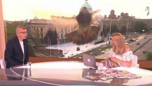 NEZVAN GOST: Uleteo u jutarnji program TV Prva - uneo se u kameru (VIDEO) NEZVAN GOST: Uleteo u jutarnji program TV Prva - uneo se u kameru (VIDEO)