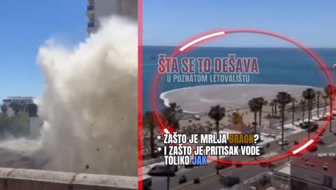 БРАОН МРЉА СЕ ШИРИ МОРЕМ - ИЗНЕНАДА: Шта се то дешава у популарном летовалишту, да ли ће га туристи убудуће заобилазити? (ВИДЕО)