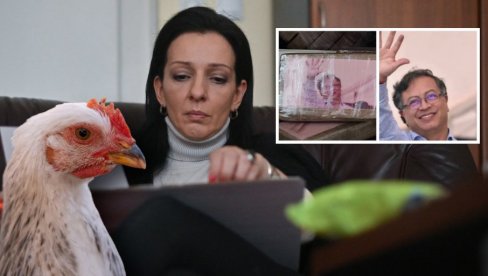 ОД МОРОВИЋА ДО ТАХИТИЈА ЧУЈЕ СЕ ГЛАСНО: Какав је лажов Мариника Тепић свима је јасно! Да ли ће неко одговарати?! ОД МОРОВИЋА ДО ТАХИТИЈА ЧУЈЕ СЕ ГЛАСНО: Какав је лажов Мариника Тепић свима је јасно! Да ли ће неко одговарати?!
