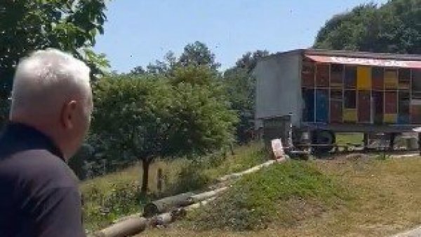 ШОЛАКОВИ МЕДИЈИ ОПЕТ ЛАЖУ: Сулуда прича о нападу пчелама на локалним изборима ШОЛАКОВИ МЕДИЈИ ОПЕТ ЛАЖУ: Сулуда прича о нападу пчелама на локалним изборима