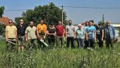 PRVA AKCIJA VRŠAČKIH GORANA: Volonteri orezivali drvored na Središtanskom putu