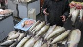 НАЈЗДРАВИЈА РИБА НА СВЕТУ: Има бројне бенефите