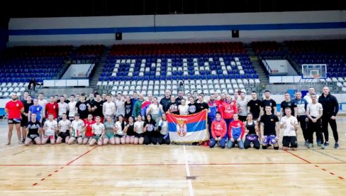 SRPSKI KIK BOKSERI U MAĐARASKOJ! Bez Filipovića i Bukvića, ali sa visokim ambicijama