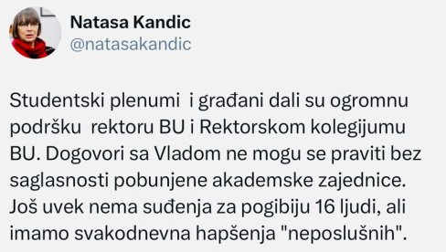 ИДЕОЛОГ БЛОКАДЕРА ОПЕТ ПОДРЖАЛА РЕКТОРА: Ђокић пљувао по Србији у Бриселу! (ФОТО)