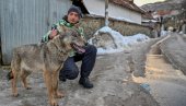 KAKO SAM PRIPITOMIO VUČICU? Staze Kosmeta - Šar-planina (VIDEO)