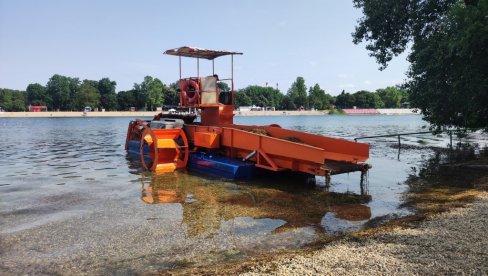 KOSE TRAVU NA SAVSKOM JEZERU: Finiš priprema pred otvaranje kupališne sezone na Adi Ciganliji