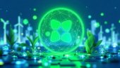 Cardano privlači pažnju kao alternativa Bitcoinu  | Pojavljuju se i novi brendovi kriptovaluta