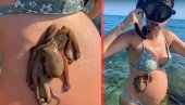 VRIŠTALA: Trudnica se kupala u moru, za stomak joj se zakačila HOBOTNICA (VIDEO)
