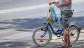 Jedan od najvećih u ex YU i Srbiji, a na pijac po krastavce - ponikom (PAPARACO FOTO)