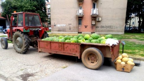 ПРОДАЈА ЛУБЕНИЦА: У Пожаревцу и Костолцу одређено 25 локација ПРОДАЈА ЛУБЕНИЦА: У Пожаревцу и Костолцу одређено 25 локација