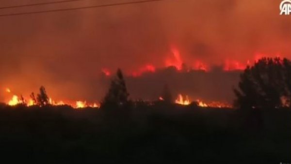 ТУРСКА У ПЛАМЕНУ: Велики пожар пред вратима Измира, затворен ауто-пут, јаки ветрови отежавају гашење (ВИДЕО)