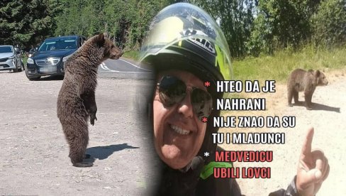 HOROR U SRPSKOM KOMŠILUKU Snimio sopstvenu smrt! Naišao na medvedicu, hteo da je nahrani - nije znao da ima mladunce (UZNEMIRUJUĆE)
