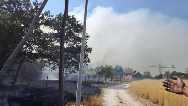 ПРОГЛАШЕНА ВАНРЕДНА СИТУАЦИЈА: Букте пожари широм Бора ПРОГЛАШЕНА ВАНРЕДНА СИТУАЦИЈА: Букте пожари широм Бора