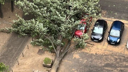 SUPERĆELIJSKA OLUJA NAPRAVILA MILIONSKU ŠTETU: Posle nevremena radnici u komunalnim preduzećima imali pune ruke posla SUPERĆELIJSKA OLUJA NAPRAVILA MILIONSKU ŠTETU: Posle nevremena radnici u komunalnim preduzećima imali pune ruke posla