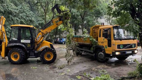 INTERVENISALI NA VIŠE OD 40 LOKACIJA: Brzom reakcijom Gradskog zelenila sanirana šteta od nevremena u Novom Sadu