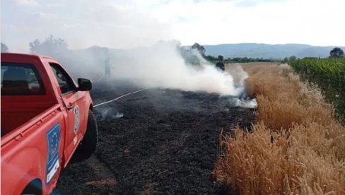 TOPLIČKI OKRUG MEĐU NAJUGROŽENIJIMA: Oglasio se MUP o požarima u Srbiji