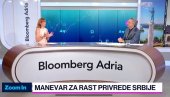 ČADEŽ: Traži se najbolje rešenje za ublažavanje carina SAD, privreda stabilna ali oprez i dalje neophodan