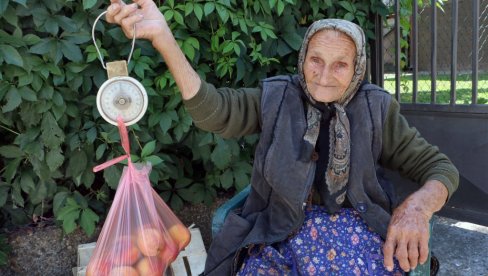 BAKA VERINE BRESKVE MIRIŠU NA DUŠU: Vera Stefanović (93) iz Smedereva ima najduži staž trgovca BAKA VERINE BRESKVE MIRIŠU NA DUŠU: Vera Stefanović (93) iz Smedereva ima najduži staž trgovca