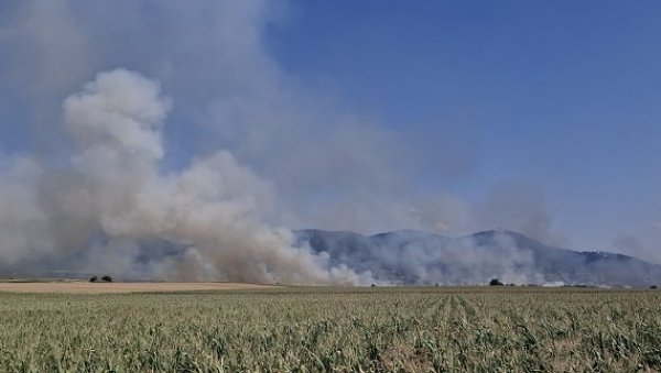 ДЕПОНИЈА И АЕРОДРОМ СПАШЕНИ ОД ПОЖАРА: У Вршцу цео дан гори ниско растиње и оранице ДЕПОНИЈА И АЕРОДРОМ СПАШЕНИ ОД ПОЖАРА: У Вршцу цео дан гори ниско растиње и оранице