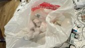 U STANU KOKAIN, MARIHUANA I ELEKTRONSKE CIGARETE SA ULJEM KANABISA: U Novom Sadu uhapšen osumnjičeni za trgovinu narkoticima