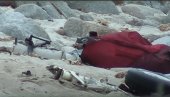 НАЂЕНО ТРОЈЕ МРТВИХ: Пао авион у Тихи океан - несрећа код обале Калифорније (ВИДЕО) НАЂЕНО ТРОЈЕ МРТВИХ: Пао авион у Тихи океан - несрећа код обале Калифорније (ВИДЕО)