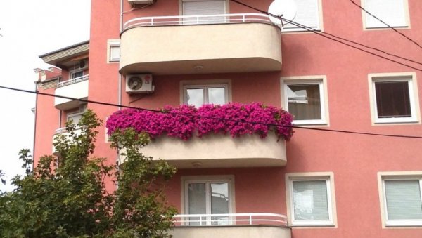 НАЈЛЕПШЕ БАШТЕ И БАЛКОНИ: Проглашење победника и додела награда 9. августа НАЈЛЕПШЕ БАШТЕ И БАЛКОНИ: Проглашење победника и додела награда 9. августа
