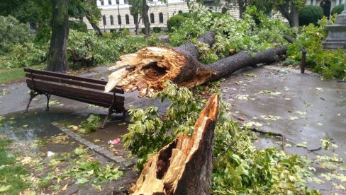 JOŠ TRAJE SANIRANJE POSLEDICA OLUJNOG NEVREMENA U POŽAREVCU, OD 26. JULA Odšeta samo na javnim površinama JOŠ TRAJE SANIRANJE POSLEDICA OLUJNOG NEVREMENA U POŽAREVCU, OD 26. JULA Odšeta samo na javnim površinama