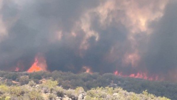ВИШЕ ОД 1.000 ВАТРОГАСАЦА НЕ МОЖЕ ДА ИЗАЂЕ НА КРАЈ СА ВАТРОМ: Страшан пожар букти у Америци (ВИДЕО)