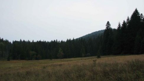 NOVA GRUPA OBRENOVAČKIH ĐAKA JUTROS OTIŠLA NA TARU: Deca iz Stublina, Skele i Draževca na sedmodnevnom druženju