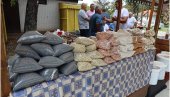 DŽABA KOLENICE, KAD PASULJA NI ZA KOTLIĆ NEMA: Na Banatskim njivama suša obrala ovogodišnji rod omiljene mahunarke, ratari na gubitku